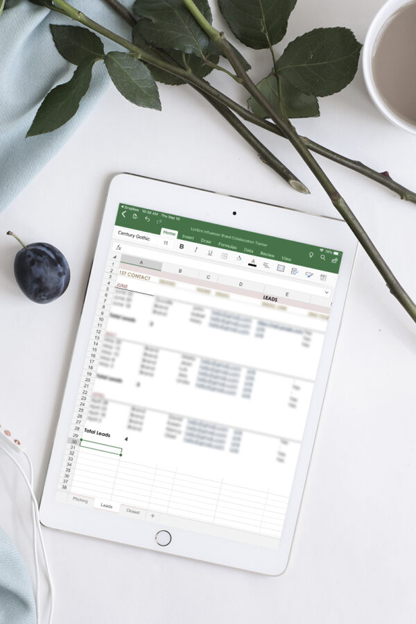 Template - Brand Deals Tracker and Planner