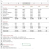 LynSire Influencer Income and Expenses